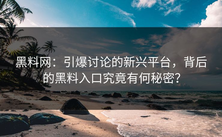 黑料网:引爆讨论的新兴平台,背后的黑料入口究竟有何秘密?