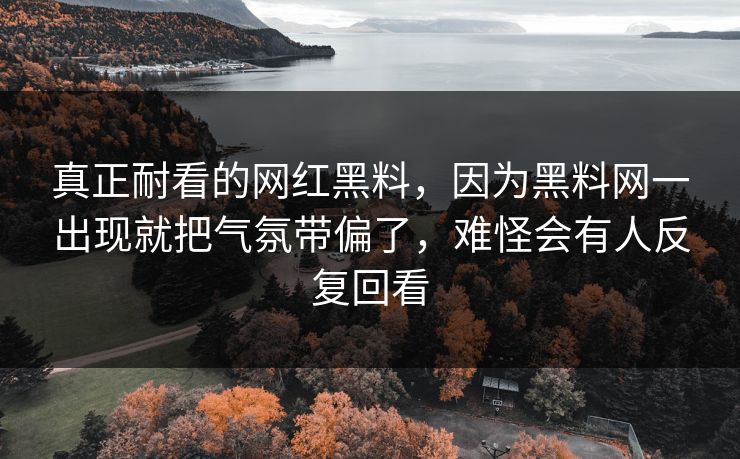 真正耐看的网红黑料,因为黑料网一出现就把气氛带偏了,难怪会有人反复回看