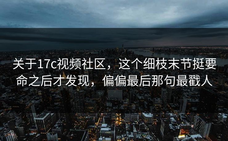 关于17c视频社区，这个细枝末节挺要命之后才发现，偏偏最后那句最戳人