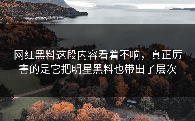 网红黑料这段内容看着不响,真正厉害的是它把明星黑料也带出了层次