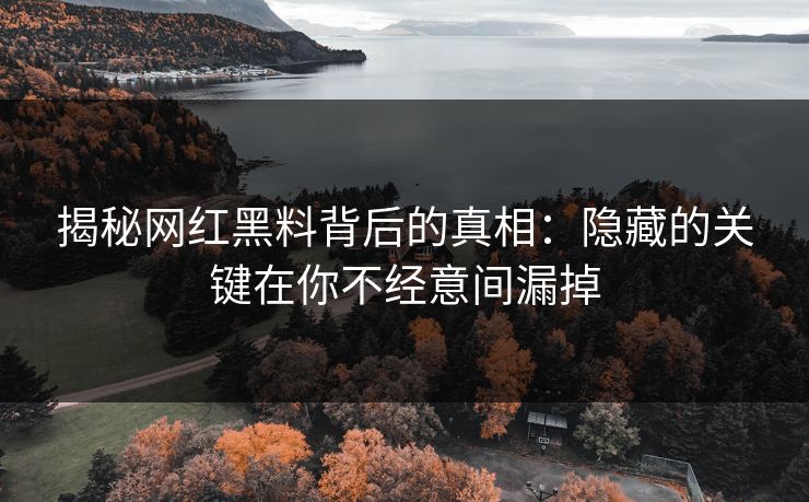揭秘网红黑料背后的真相:隐藏的关键在你不经意间漏掉