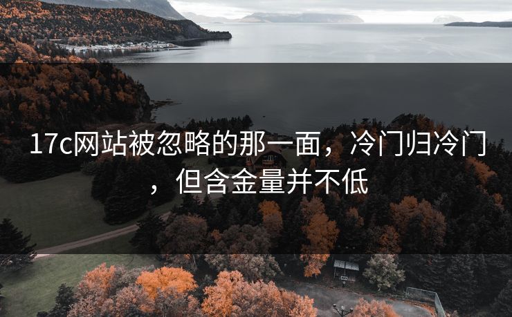 17c网站被忽略的那一面,冷门归冷门,但含金量并不低